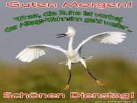Dienstag