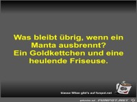 Was bleibt �brig, wenn ein Manta ausbrennt?