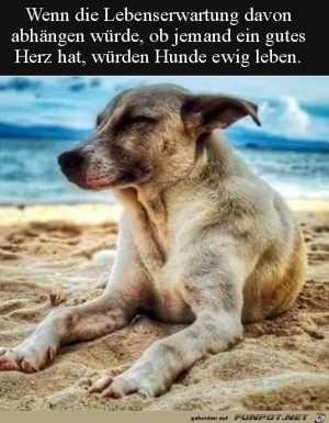 Gutes-Herz.jpg auf www.funpot.net