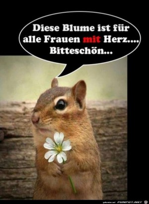 Blume-f�r-dich.jpg auf www.funpot.net