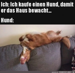 Super-Wachhund.jpg auf www.funpot.net