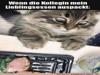 Mein Lieblingsessen