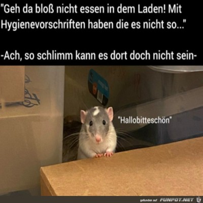 Die-Hygiene-Vorschriften.jpg von Ida