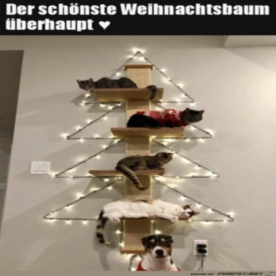Tierischer-Weihnachtsbaum.jpg von Mia