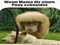 Pony geschnitten