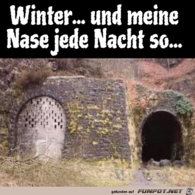 Meine-Nase-im-Winter.jpg von Steven