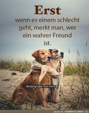 Erst-wenn-es-einen-Schlecht-geht.jpg auf www.funpot.net