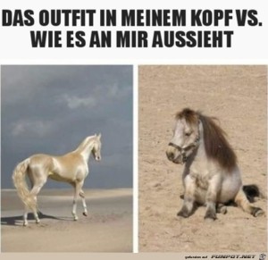 fun-Bild: Outfit im Netz und an mir