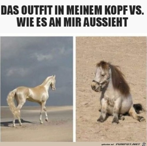 Outfit-im-Netz-und-an-mir.jpg auf www.funpot.net