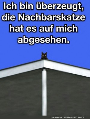 Big-Boss.jpg auf www.funpot.net
