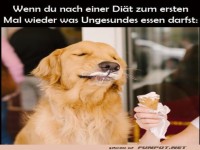 Endlich was Ungesundes