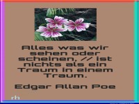 alles was wir sehen