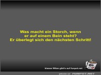 Was macht ein Storch, wenn er auf einem Bein steht?