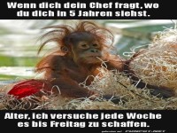 Blde Frage