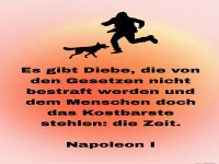 es gibt diebe