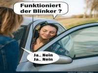 Wenn der Blinker seine eigene Meinung hat