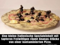 Kampftruppe gegen Ananas-Invasion