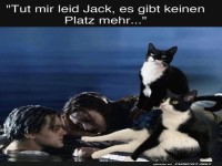 Titanic: Katzenedition ohne extra Raum