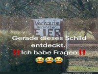 Verwirrende Kaninchen-Eier Entdeckung!