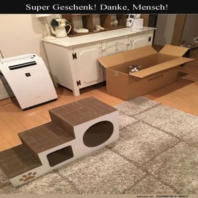Der-Karton-ist-immer-noch-der-Star!.jpg von Annelie-68