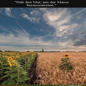 Rebellische-Sonnenblume-auf-Abwegen!.jpg von Erwin32