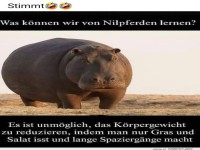 Nilpferd-Di�ten: Mythos oder Realit�t?