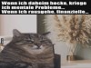 weiter