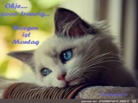 morgen ist montag