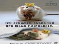 fb2 prinzessin