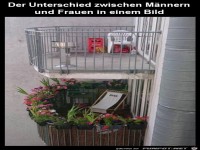 Unterschied Mnner Frauen