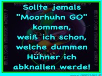 Mohrhuhn GO