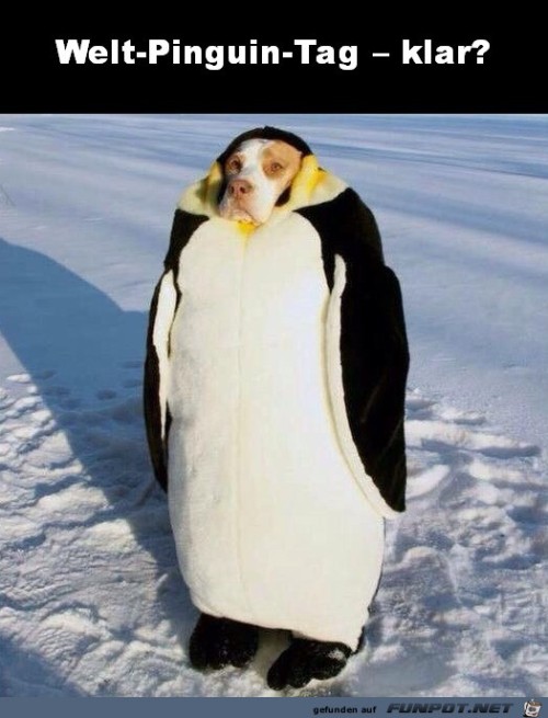 Welt-Pinguin-Tag.jpg auf www.funpot.net