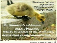 Hindernis ist eine unglueckliche Formulierung