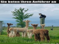 Ihr Anf�hrer
