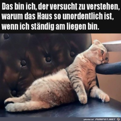 Faul-rumliegen.jpg von Tilo