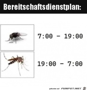 Bereitschaftsplan.jpg auf www.funpot.net