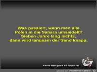 Was passiert, wenn man alle Polen in die Sahara umsiedelt?