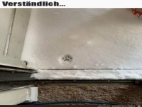 Zu kalt