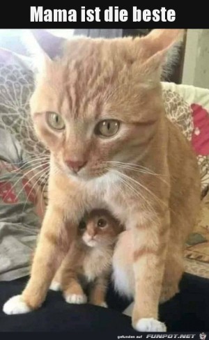 Mama.jpg auf www.funpot.net