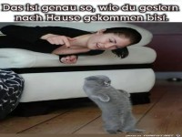 So hast du gestern Abend ausgesehen