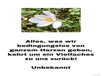 Alles was wir bedingungslos