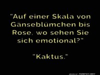 Emotionale Skala mit Dornen