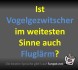 FunpotNews