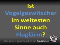 Vogel oder Flugzeug? Geruschdebatte!