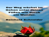 der weg w�chst im gehen