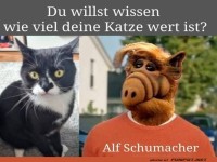 Alf und der wahre Wert deiner Katze!