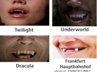 Vampir-Saga mal anders!