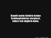 Autofahren: Gehirn-Training deluxe!