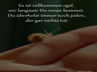 Schneckenrennen leicht gemacht!