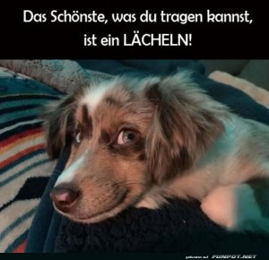herz-Bild: Das L&auml;cheln eines Profischn&uuml;fflers!